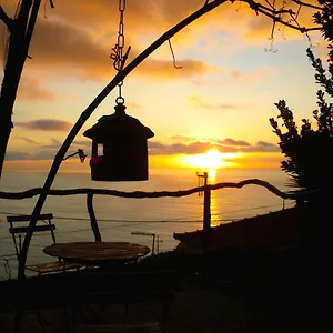 Apartment Magro's House, Arco da Calheta (Madeira)